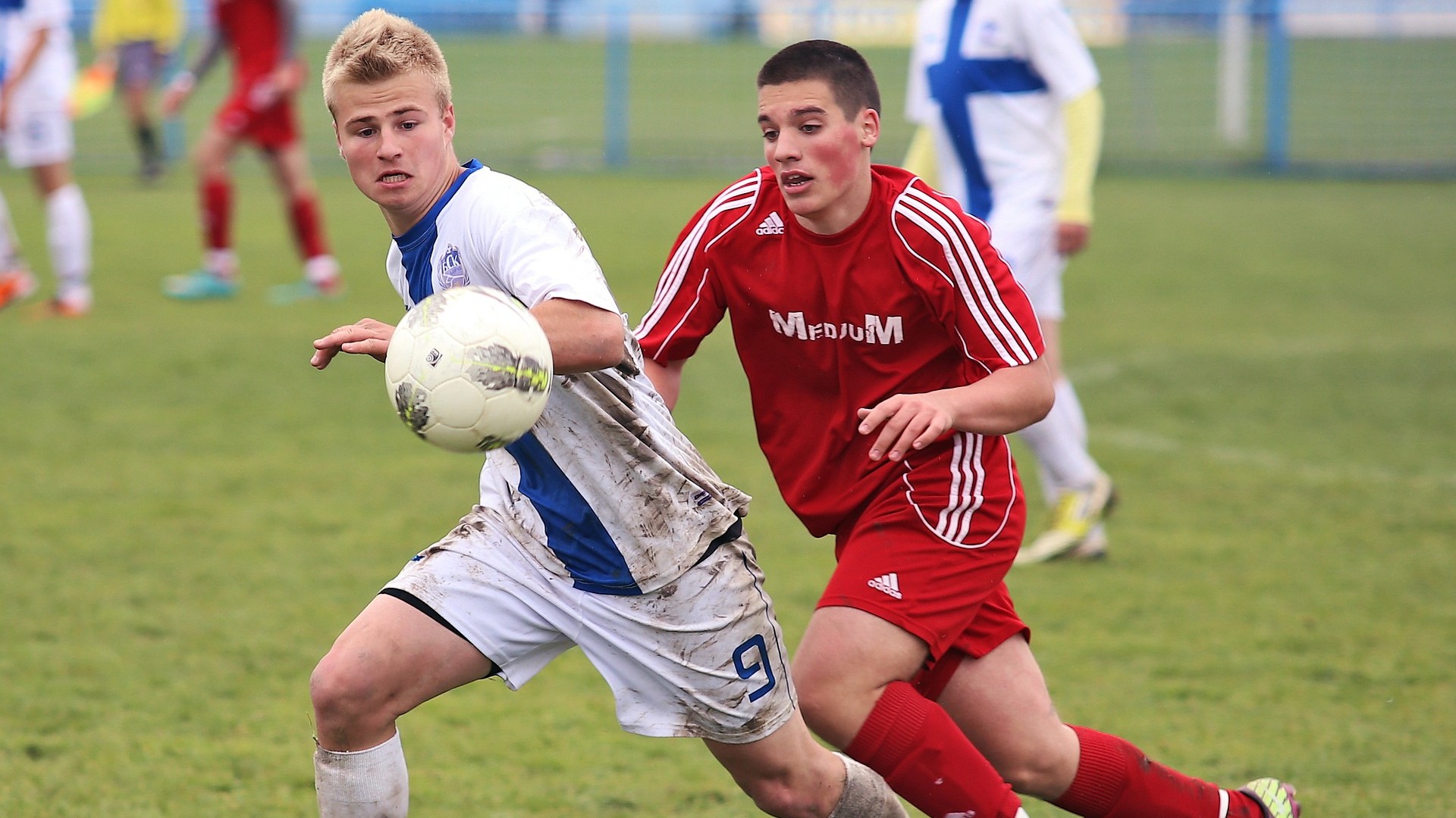 Gehirnerschütterungen im Ballsport